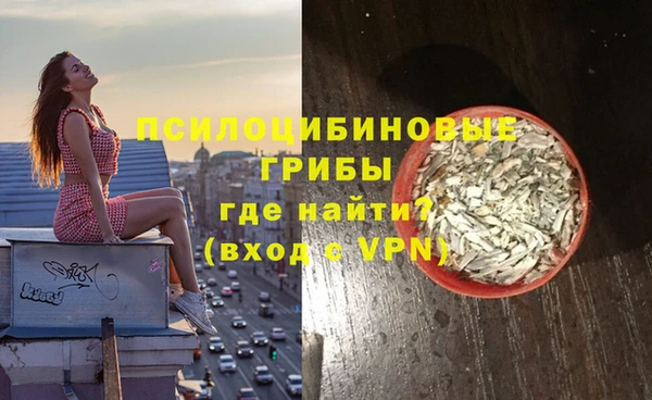 ALPHA PVP Нязепетровск