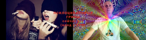 марки lsd Осташков